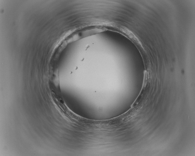 X0000069390436200606021635