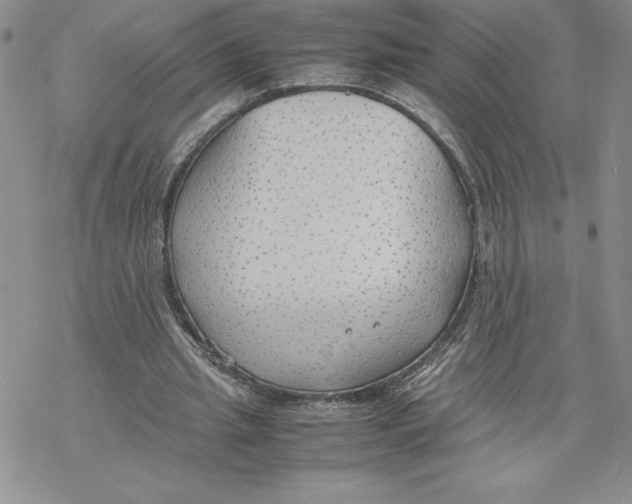 X0000069390437200606021636