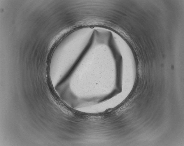 X0000069390438200606021636