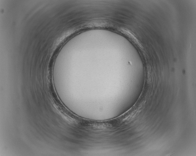 X0000069390439200606021636