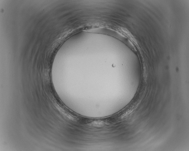 X0000069390441200606021636