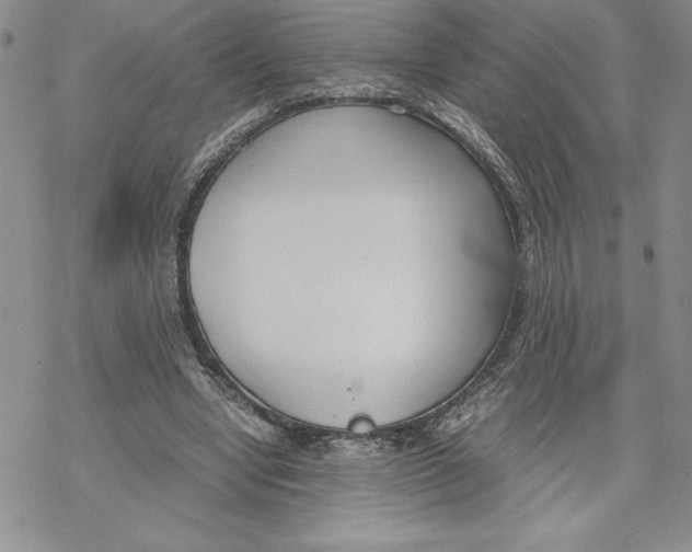 X0000069390442200606021636