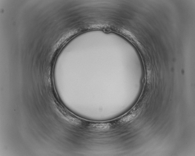 X0000069390443200606021636