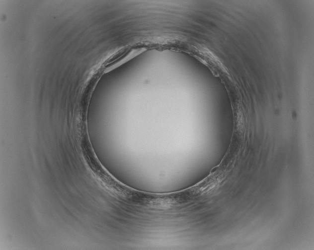 X0000069390444200606021636