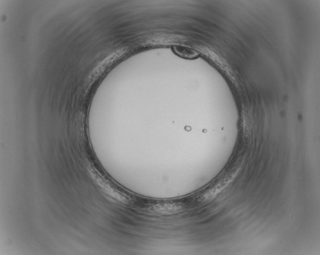 X0000069390445200606021636