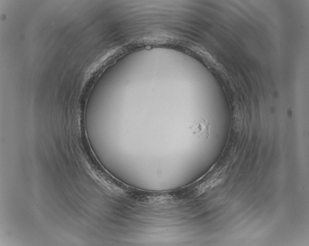 X0000069390446200606021636