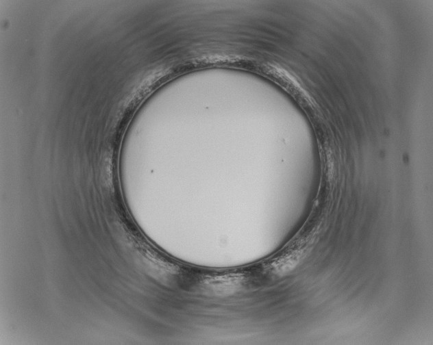 X0000069390447200606021636