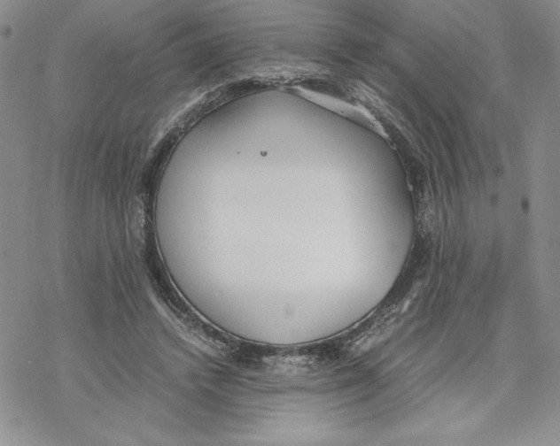 X0000069390448200606021636