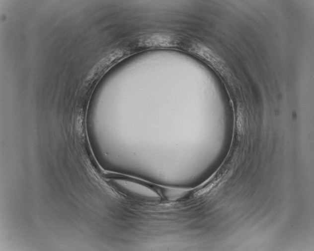 X0000069390449200606021636