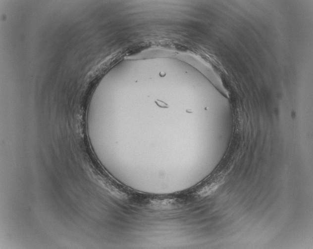 X0000069390450200606021636