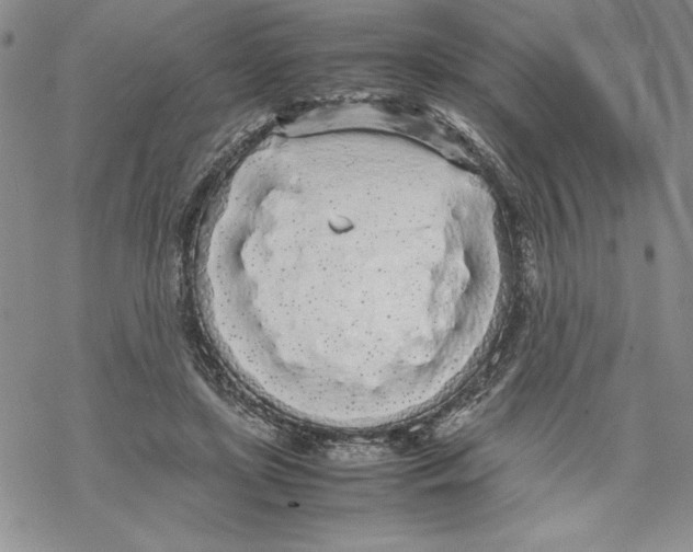 X0000069390451200606021636