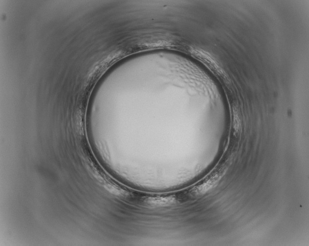 X0000069390453200606021636