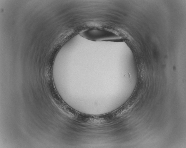 X0000069390455200606021636