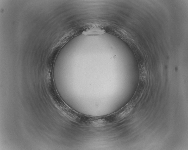 X0000069390456200606021636