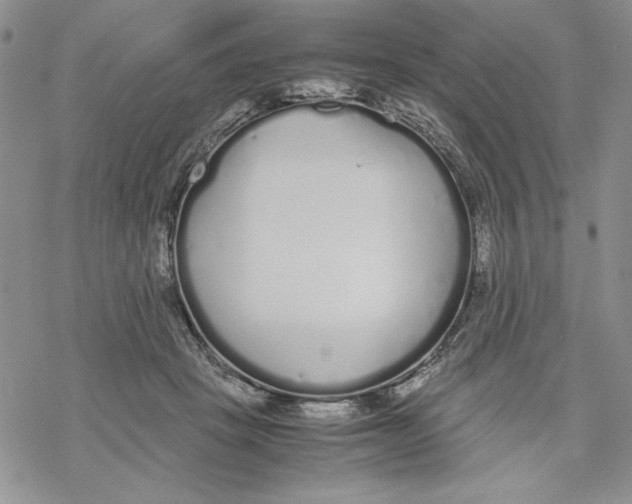 X0000069390457200606021636