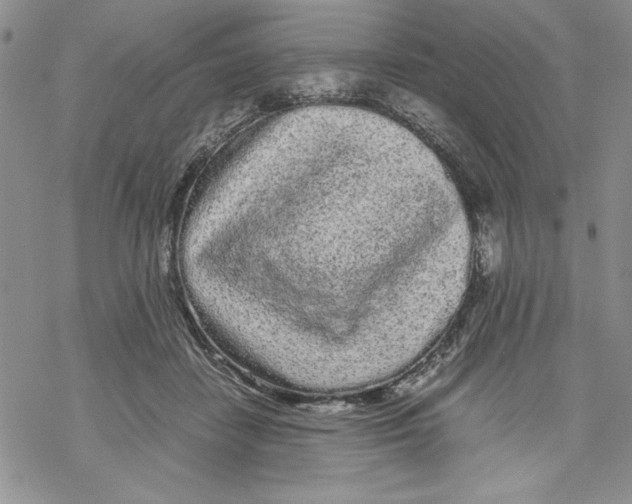 X0000069390458200606021636