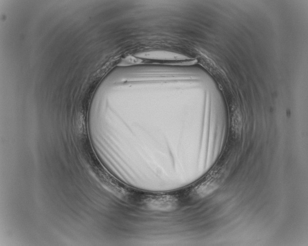 X0000069390459200606021636