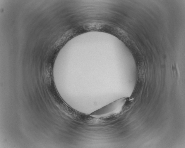 X0000069390460200606021636