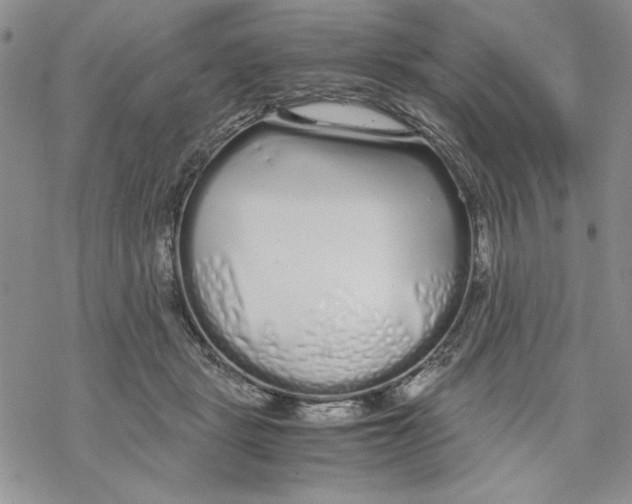 X0000069390461200606021636