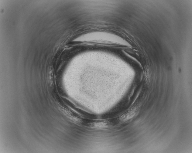 X0000069390462200606021636