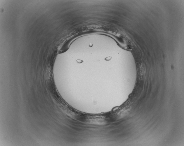 X0000069390463200606021636