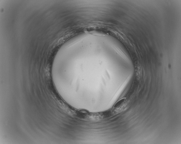 X0000069390466200606021636