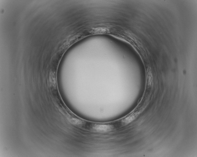 X0000069390467200606021636