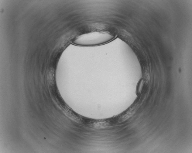 X0000069390468200606021636