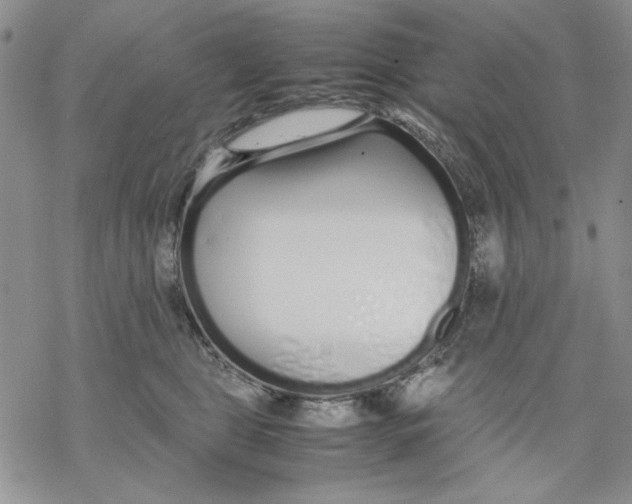 X0000069390469200606021636