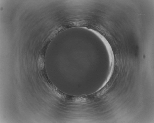 X0000069390471200606021636