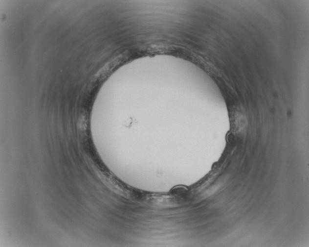 X0000069390472200606021636