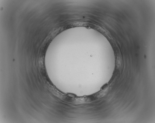 X0000069390473200606021636