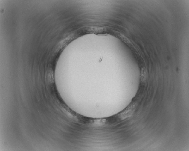 X0000069390474200606021636