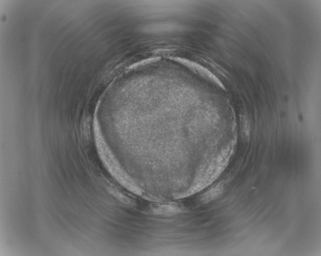 X0000069390475200606021636