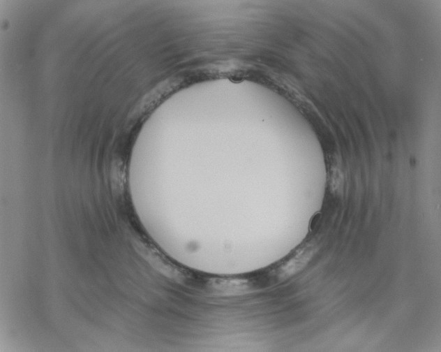 X0000069390476200606021636