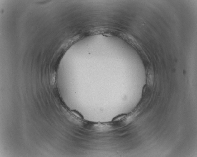 X0000069390477200606021636