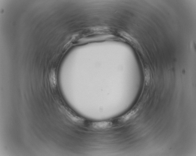 X0000069390479200606021636