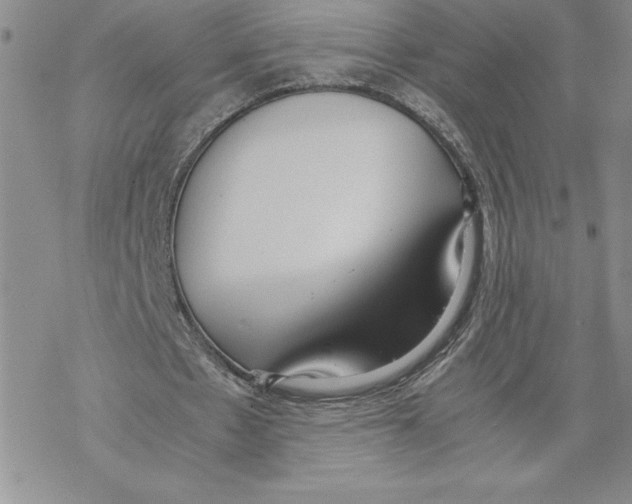 X0000069390481200606021635