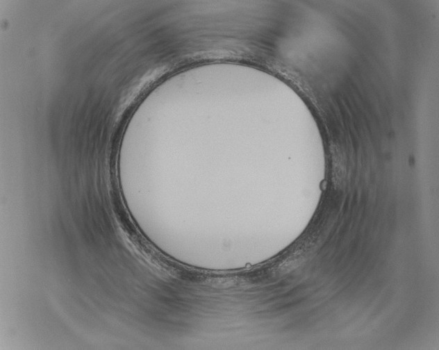 X0000069390482200606021635