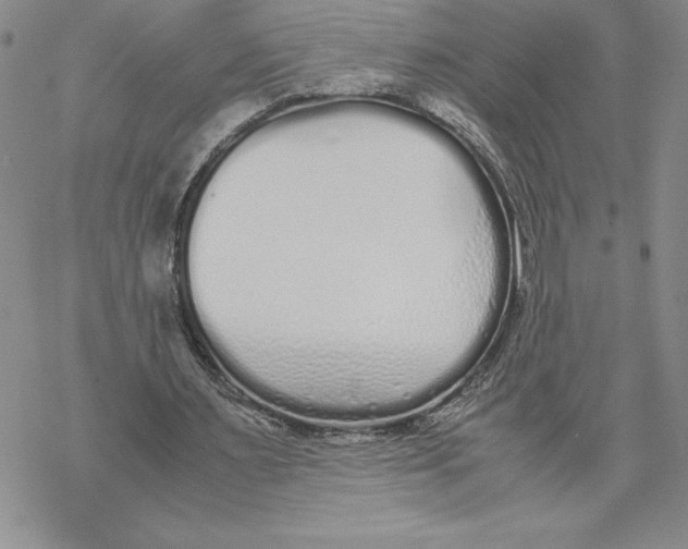 X0000069390483200606021635