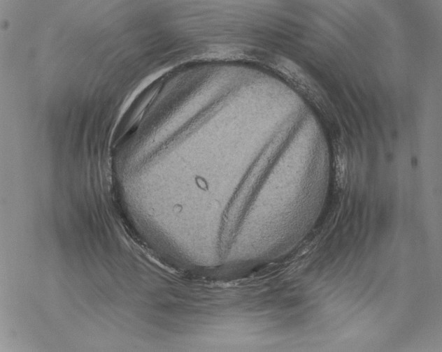 X0000069390484200606021635