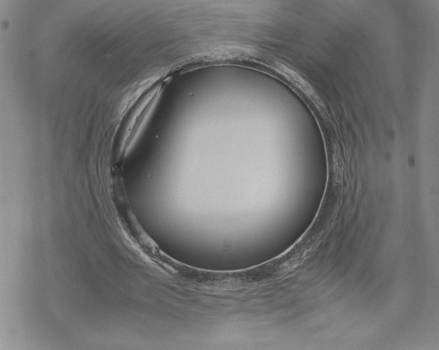 X0000069390485200606021635