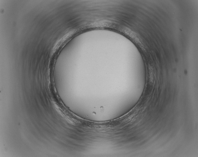 X0000069390486200606021635