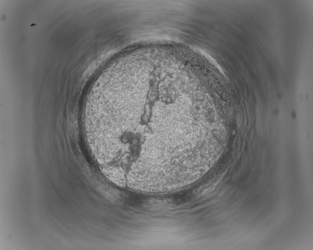 X0000069390487200606021635