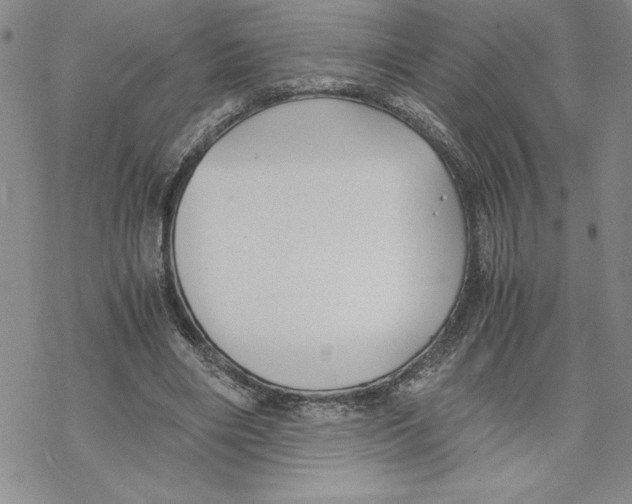 X0000069390490200606021635