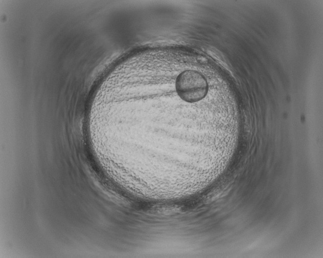 X0000069390491200606021635