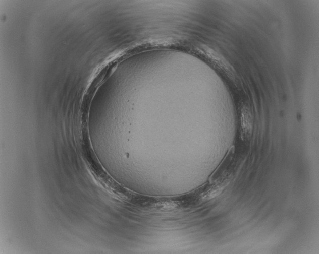 X0000069390492200606021635