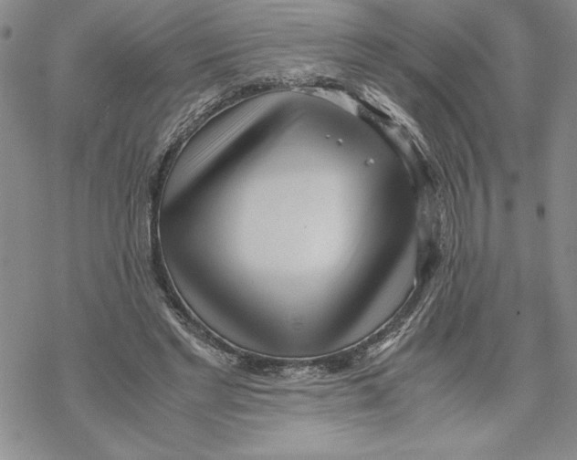 X0000069390493200606021635