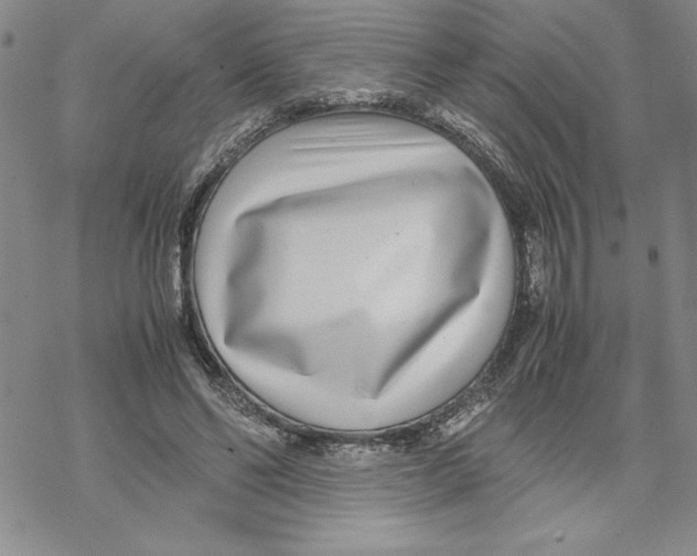 X0000069390494200606021635