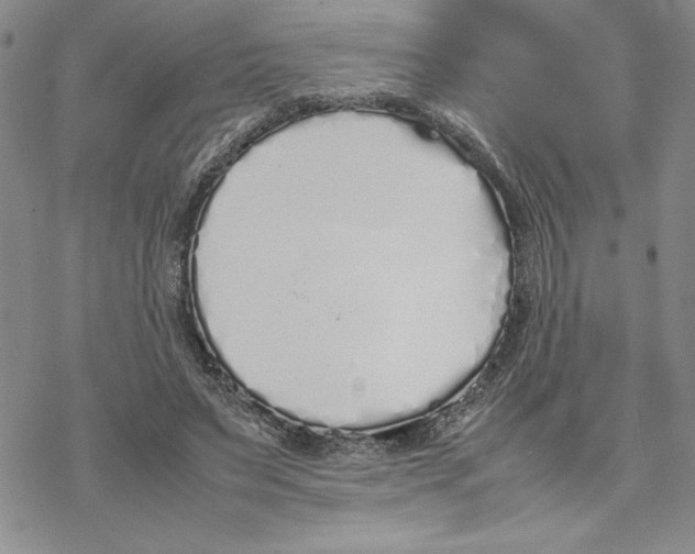 X0000069390495200606021635